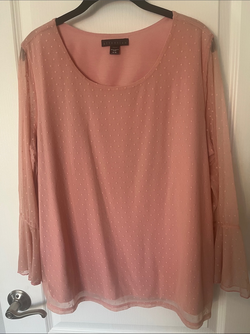 Attention Blush Pink Swiss Dot Sheer Long-Sleeve Blouse